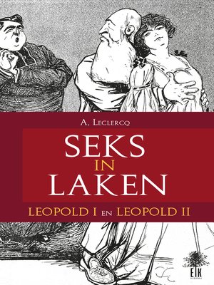 cover image of Seks in Laken